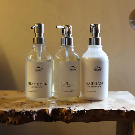 The Provence Village بيت ريفي Bukovinka