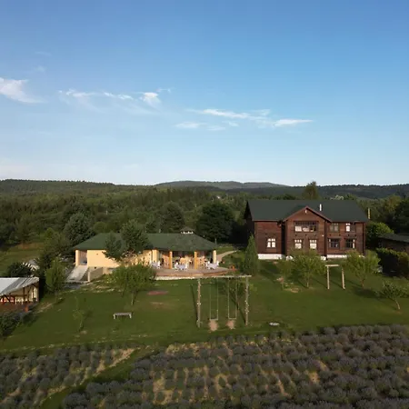The Provence Village Bukovinka