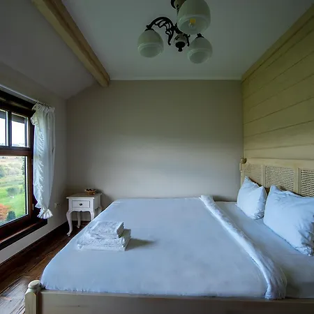 The Provence Village بيت ريفي Bukovinka