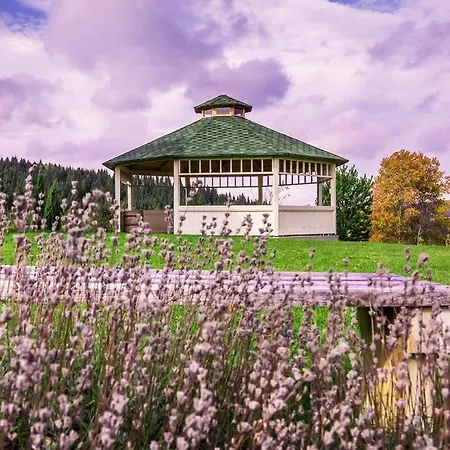 The Provence Village بيت ريفي *