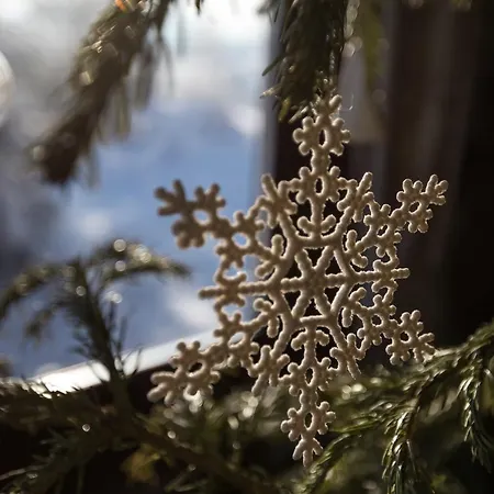 The Provence Village * Bukovinka